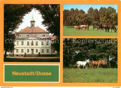 Neustadt Dosse VE Hauptgestuet Schloss Stuten mit Fohlen