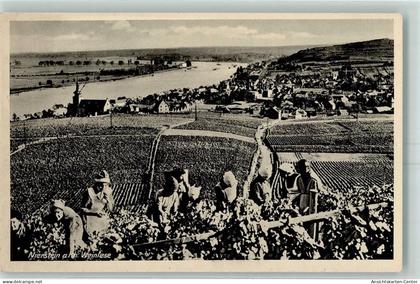 10440694 - Nierstein