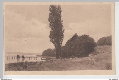 (71380) AK Knapp bei Apenrade (Aabenraa), Badebrücke bei Aubeck, 1919