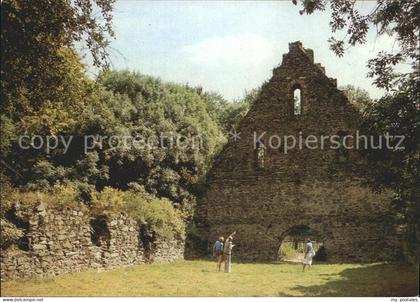 Nossen Klosterruine Altzella
