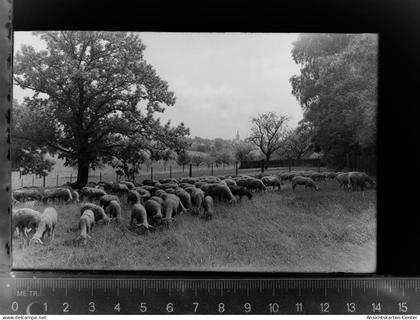 30034426 - Oberursel (Taunus)