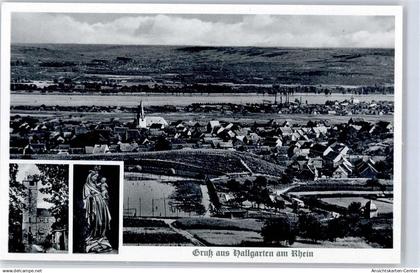51435154 - Hallgarten , Rheingau