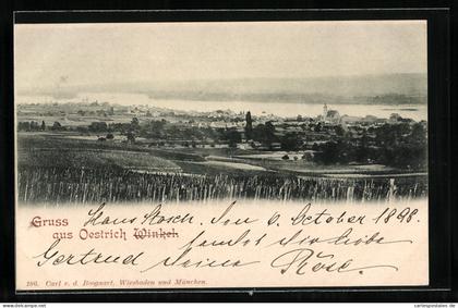 AK Oestrich-Winkel, Ortsansicht aus der Ferne