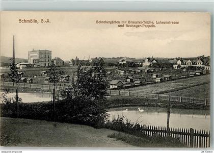 01877 O8508 Schmölln , OL - Schrebergarten Lohsenstraße Brauerei-Eiche S... - 13637720