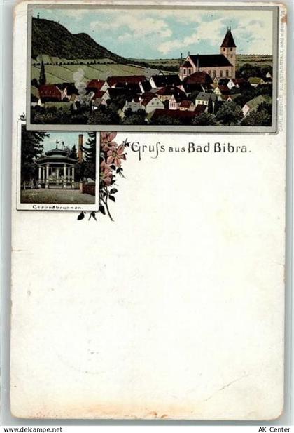 06647 O4802 Bad Bibra 1897 Lithographie Gesundbrunnen - 13266666