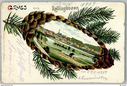 25548 W2217 Kellinghusen 1907 Lithographie Tannenzapfen Kellinghusen - 13668074