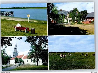 25774 W2247 Lunden , Holst - Kuhweide - 50963906