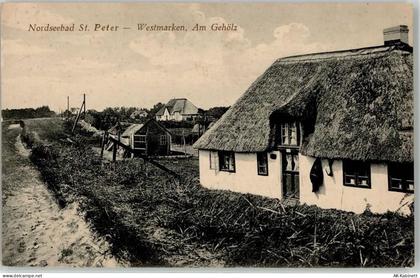 25826 W2252 St. Peter-Ording - Westmarken Am Gehölz - 51916228