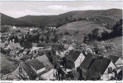 37539 W3362 Bad Grund um 1959 - Bad Grund, Ansicht, Blick auf den Eichel... - 20040708