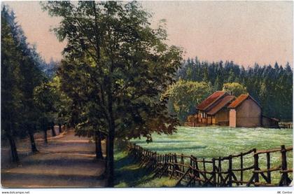 38700 W3389 Braunlage um 1920 - Braunlage, Harz, Forsthaus Brunnenbach, ... - 20035679