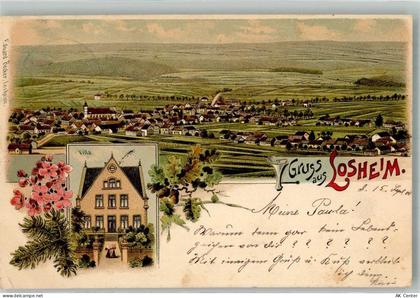 53940 W5374 Losheim , Eifel 1900 Lithographie Villa in Losheim Tannenzwe... - 13668407