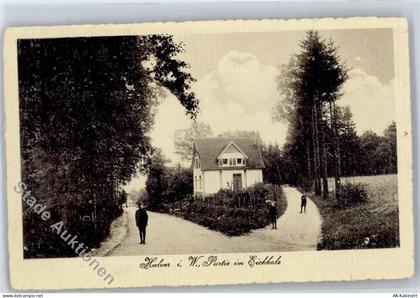 58553 W5884 Halver - Eichholz - 51267820