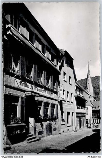 69151 W6903 Neckargemünd - Gasthaus zum goldenen Ochsen - 51080033