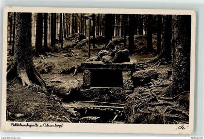 95643 W8593 Tirschenreuth - Fichtelnaabquelle Ochsenkopf - 39237278