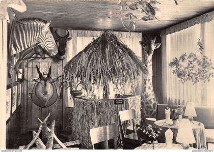 BG21752 tierecke   klein afrika bar hotel vetschau  germany CPSM 14.5x9cm