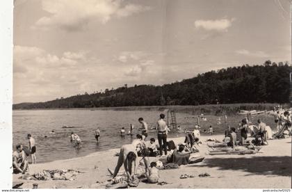 BG29281 ferch am schwielowsee   germany   CPSM 14.5x10cm