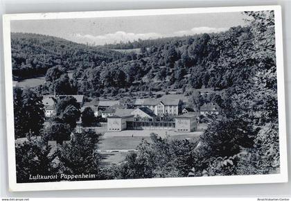 51219394 - Pappenheim , Mittelfr