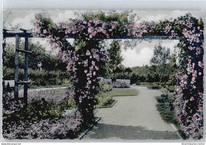 50549618 - Pinneberg