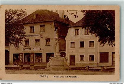 13184788 - Plattling