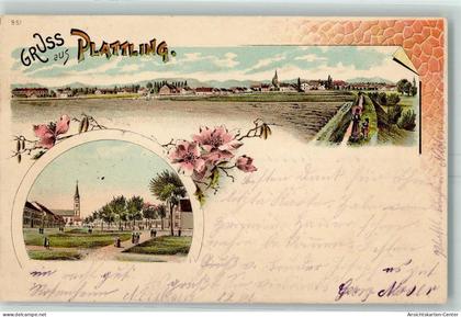 13432869 - Plattling