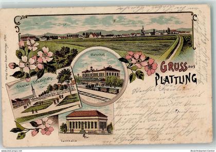 13468920 - Plattling