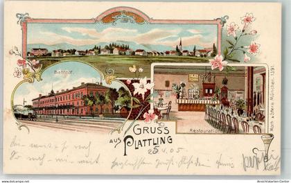 13498649 - Plattling