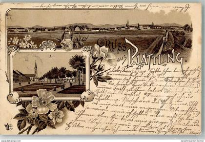 13557091 - Plattling