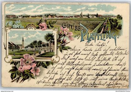 51044974 - Plattling