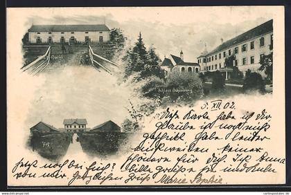 AK Pocking, Schloss Schönburg, Hof und Gestüt