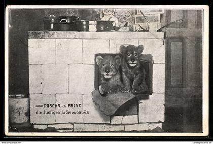 AK Berlin-Prenzlauer Berg, Restaurant zum Landhaus, Inh. Julius Schander, Löwenbabys, Prenzlauer Allee 147