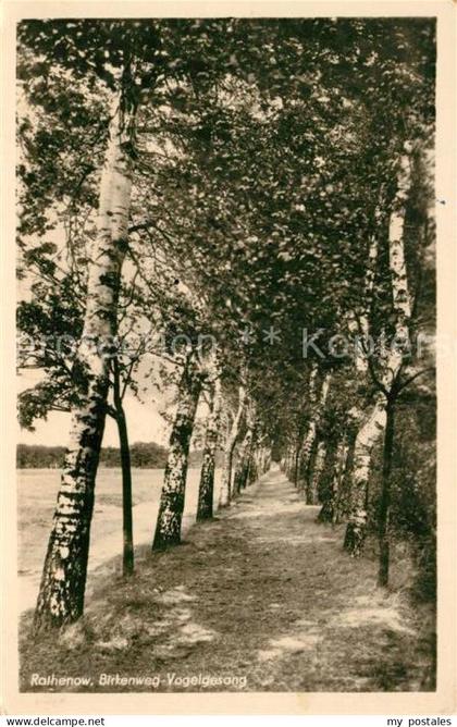 Rathenow Birkenweg Vogelsang