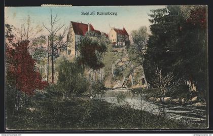 AK Reinsberg /Sachsen, Schloss im Herbst