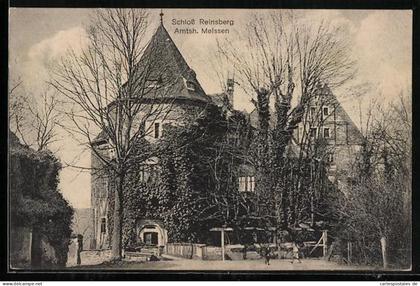 AK Reinsberg / Sachsen, Schloss mit Grünanlagen