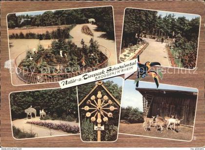 Brueggen Niederrhein Natur- Tierpark Schwalmtal