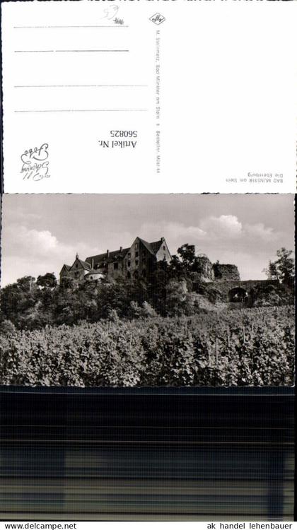 560825,Foto Ak Bad Münster a. Stein-Ebernburg Bad Kreuznach Die Ebernburg Wein Weinanbau