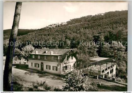 Klingenmuenster Waldhaus Terrassen