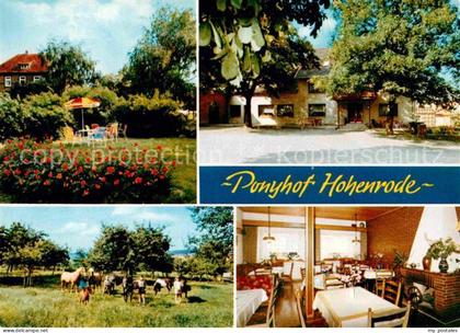 Hohenrode Rinteln Ponyhof