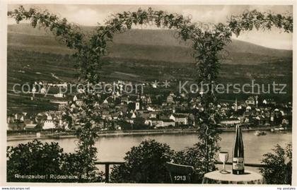 Ruedesheim Rhein Panorama