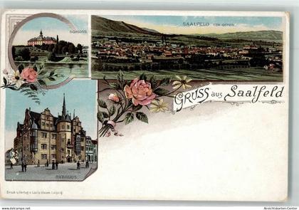 13916153 - Saalfeld , Saale