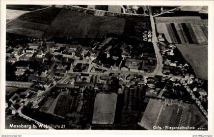 CPA Meseberg bei Wolmirstedt, Luftaufnahme von Meseberg, schwarz-weiß, Felder, Häuser, Straßen
