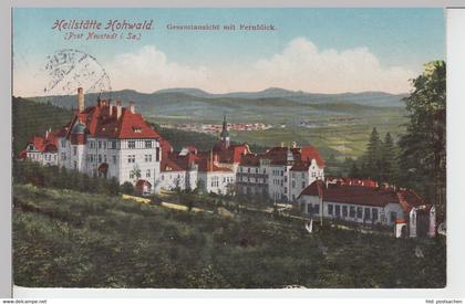 (101182) AK Neustadt, Sachsen, Heilstätte Hohwald 1920