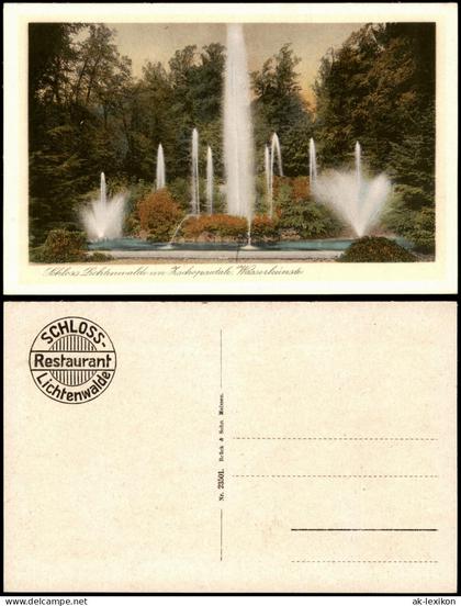 Ansichtskarte Lichtenwalde-Niederwiesa Schloß Wasserkünste 1926