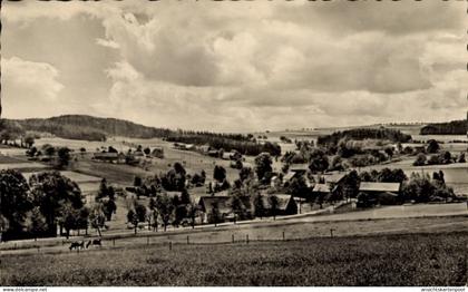 CPA Dorfchemnitz bei Sayda Mittelsachsen, Panorama, Wolfgrund