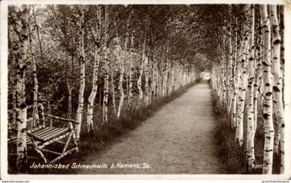 CPA Johannisbad Schmeckwitz Räckelwitz Oberlausitz, Birkenallee