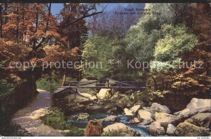 Jocketa Triebtal Loreley- Steg