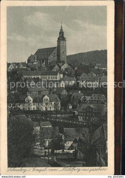 Schneeberg Erzgebirge Blick vom Muehlberg St Wolfgangkirche