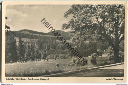 Schierke - Brocken - Blick vom Kurpark - Foto-Ansichtskarte - Verlag A. Stenner Schierke