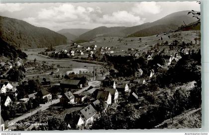 10575087 - Schiltach