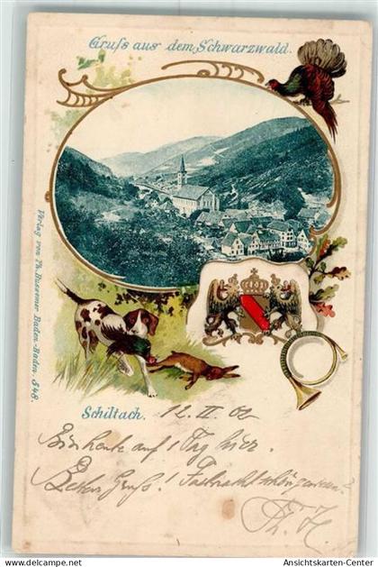 13525342 - Schiltach