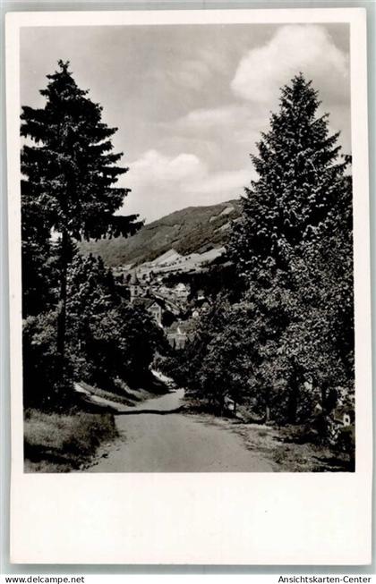 38207230 - Schiltach